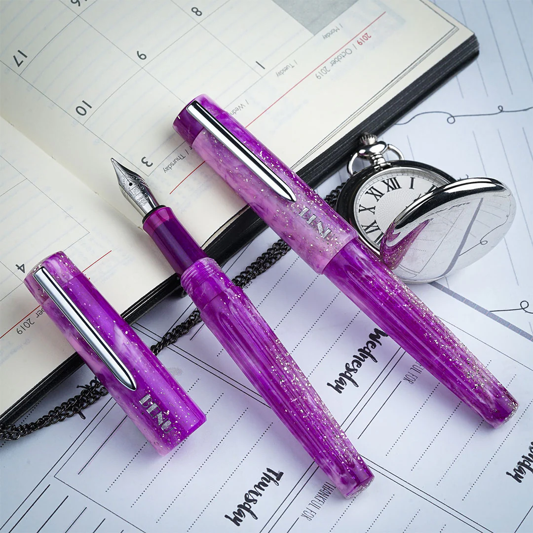 Benu DailyMate Fountain Pen Exciting Friday - Image 2