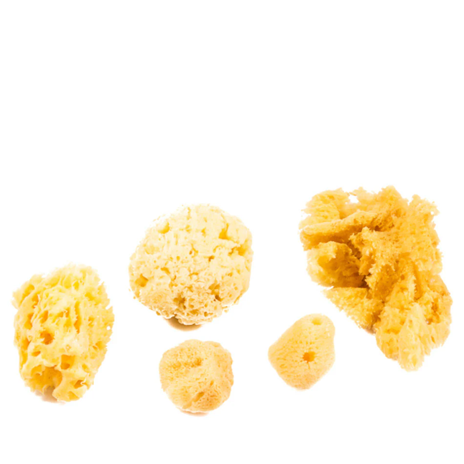 Jakar Natural Sea Sponge Assorted Set of 6 - Image 2