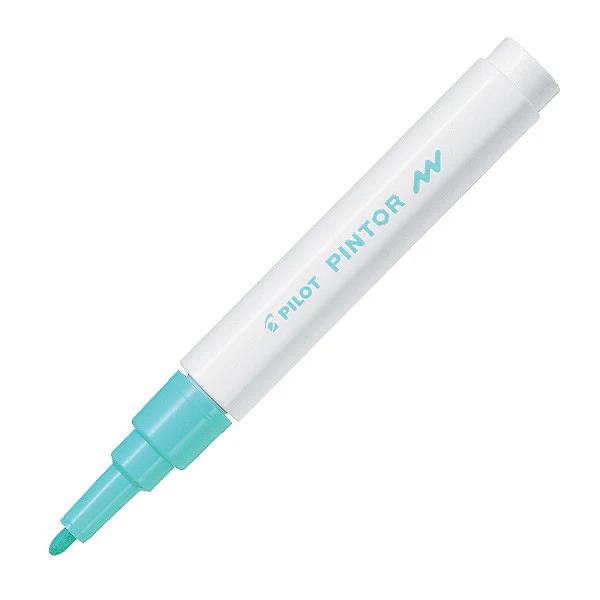 Pilot Pintor Marker Pen Bullet Tip Fine - Image 10