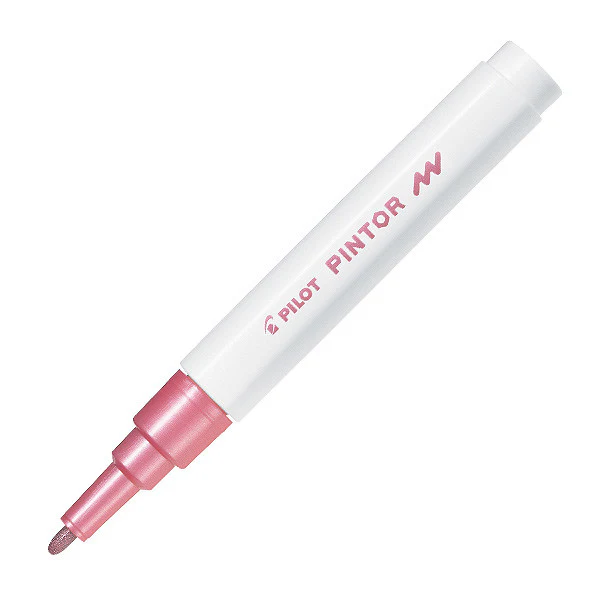 Pilot Pintor Marker Pen Bullet Tip Fine - Image 18