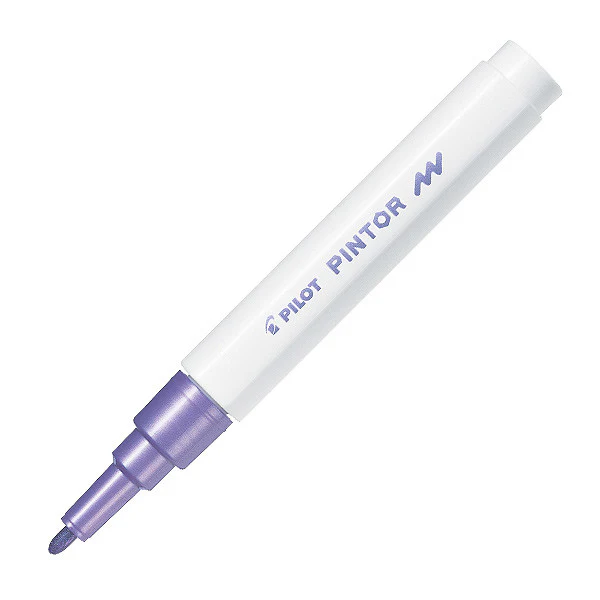 Pilot Pintor Marker Pen Bullet Tip Fine - Image 21