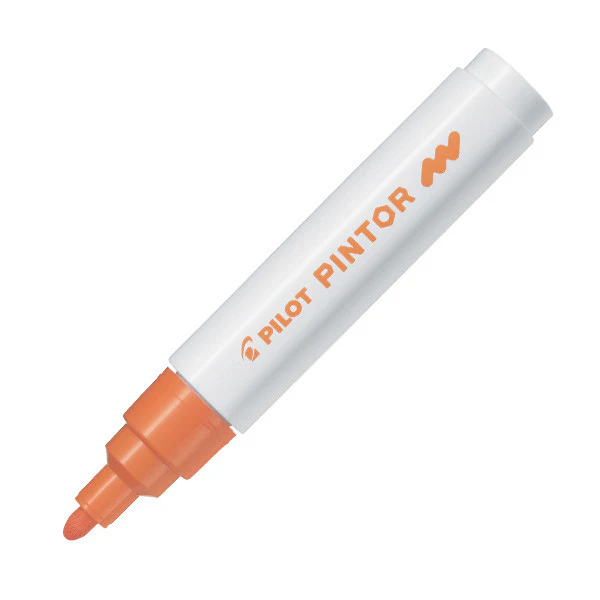 Pilot Pintor Marker Pen Bullet Tip Medium