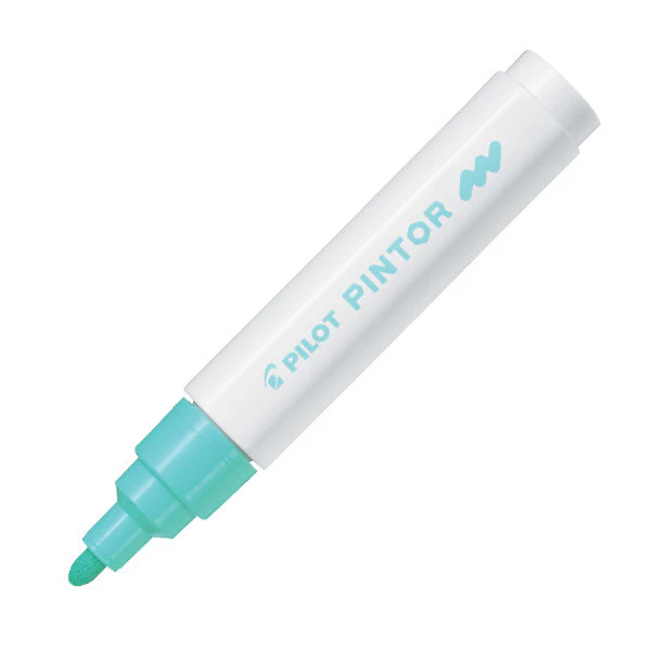 Pilot Pintor Marker Pen Bullet Tip Medium - Image 18