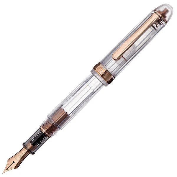 Platinum #3776 Century Fountain Pen Nice
