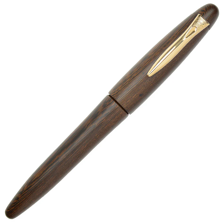 Platinum Izumo Matt Tagayasan Fountain Pen - Image 2