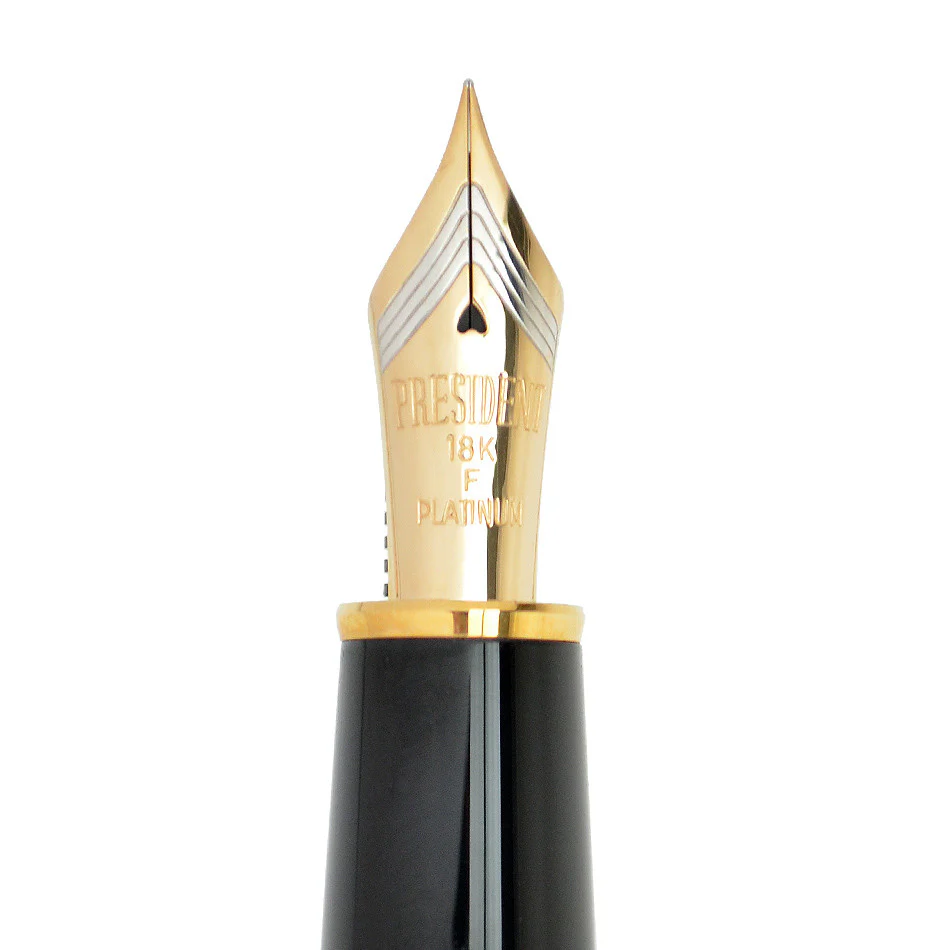 Platinum Izumo Matt Tagayasan Fountain Pen - Image 4
