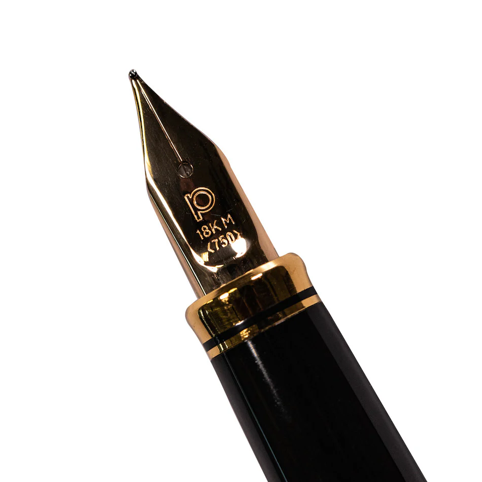 Platinum Kanazawa-Haku Fountain Pen Changing Autumn Leaves - Image 4
