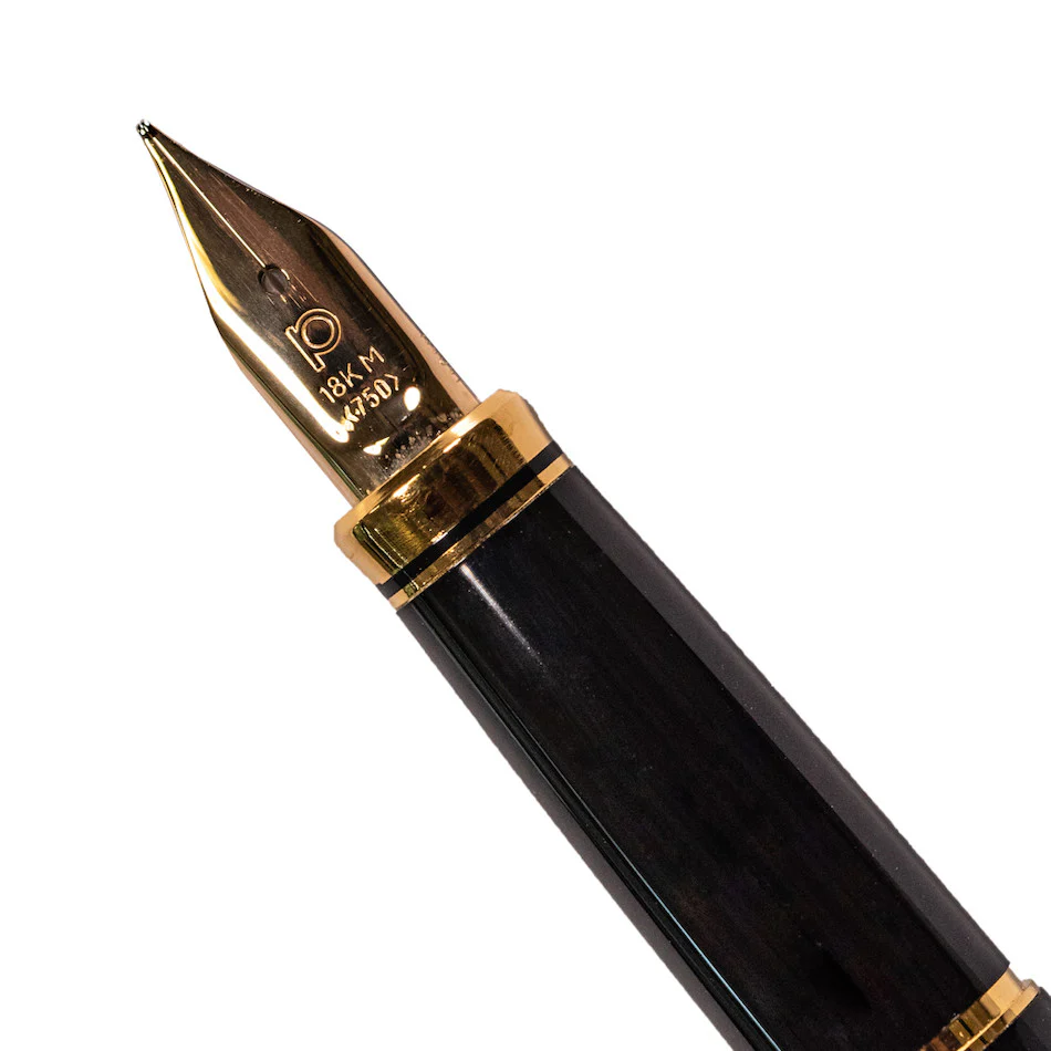 Platinum Kanazawa-Haku Fountain Pen Goldfish - Image 3