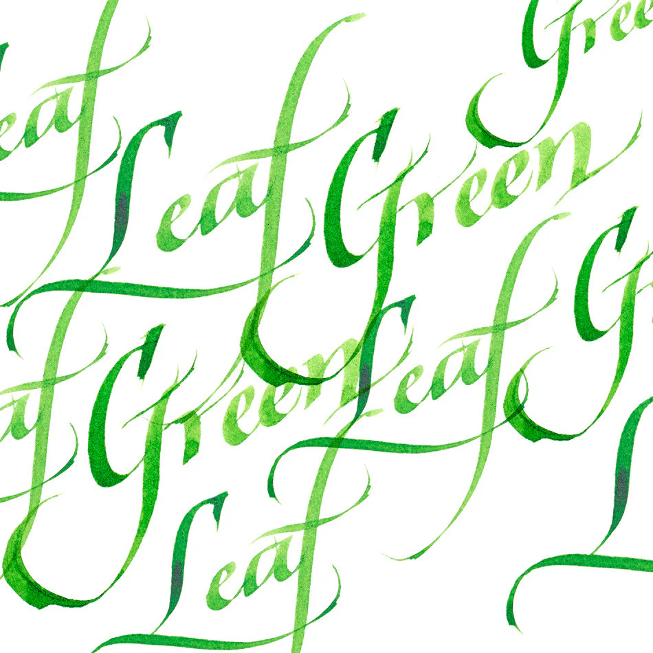 Winsor & Newton Calligraphy Ink 30ml - Image 8